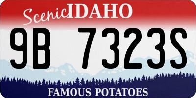 ID license plate 9B7323S