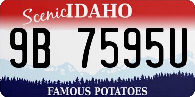 ID license plate 9B7595U
