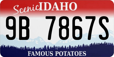 ID license plate 9B7867S