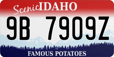 ID license plate 9B7909Z