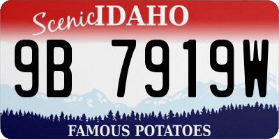 ID license plate 9B7919W