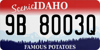 ID license plate 9B8003Q
