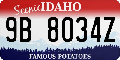 ID license plate 9B8034Z