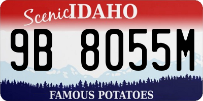 ID license plate 9B8055M