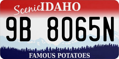 ID license plate 9B8065N