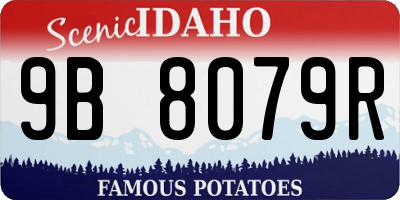 ID license plate 9B8079R