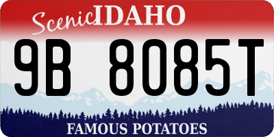 ID license plate 9B8085T