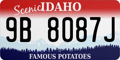 ID license plate 9B8087J