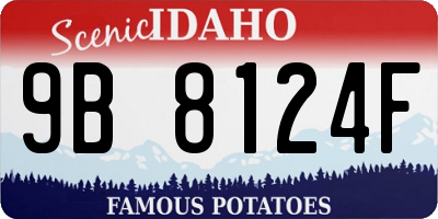 ID license plate 9B8124F