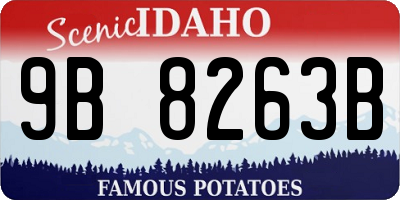 ID license plate 9B8263B