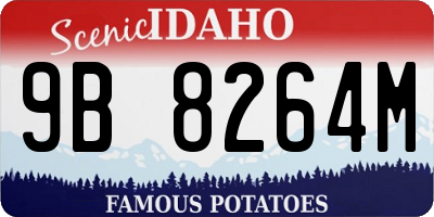 ID license plate 9B8264M