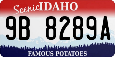 ID license plate 9B8289A