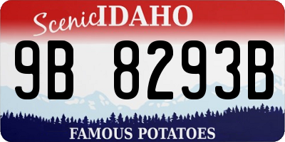 ID license plate 9B8293B