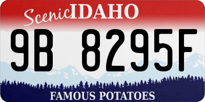 ID license plate 9B8295F