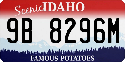 ID license plate 9B8296M