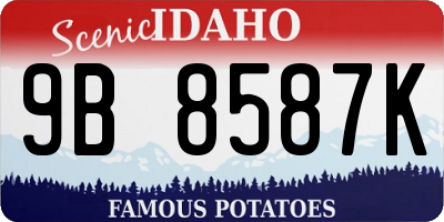 ID license plate 9B8587K