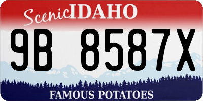 ID license plate 9B8587X