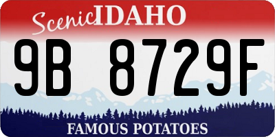 ID license plate 9B8729F