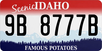 ID license plate 9B8777B