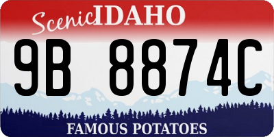 ID license plate 9B8874C