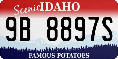 ID license plate 9B8897S