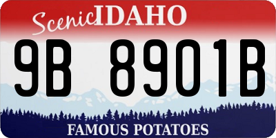 ID license plate 9B8901B