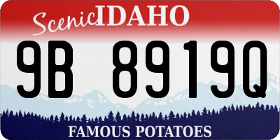 ID license plate 9B8919Q