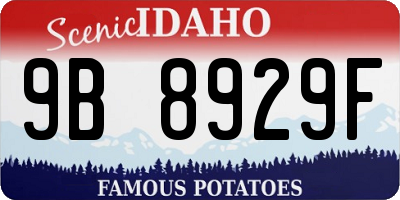 ID license plate 9B8929F
