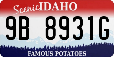 ID license plate 9B8931G