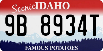 ID license plate 9B8934T