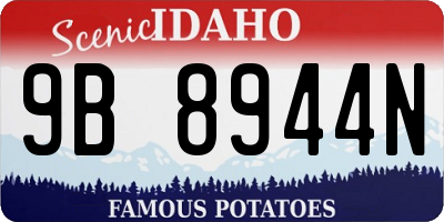 ID license plate 9B8944N