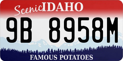 ID license plate 9B8958M