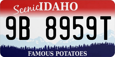 ID license plate 9B8959T