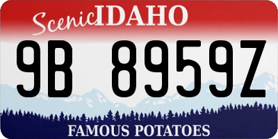 ID license plate 9B8959Z