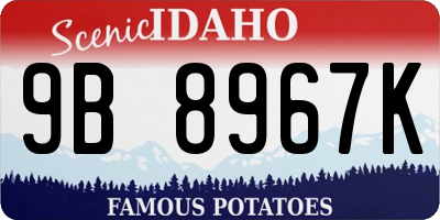 ID license plate 9B8967K