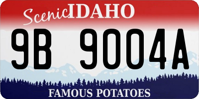 ID license plate 9B9004A