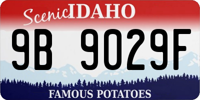 ID license plate 9B9029F