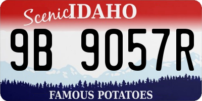 ID license plate 9B9057R