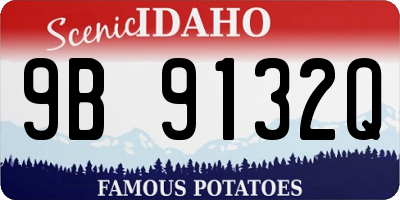 ID license plate 9B9132Q