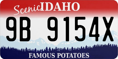 ID license plate 9B9154X
