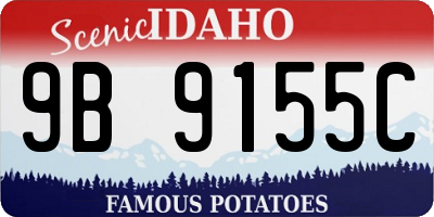 ID license plate 9B9155C