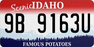 ID license plate 9B9163U