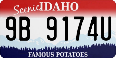 ID license plate 9B9174U