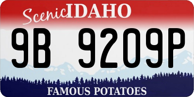 ID license plate 9B9209P