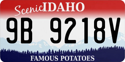 ID license plate 9B9218V