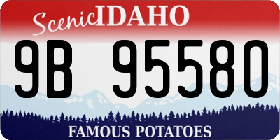 ID license plate 9B9558O