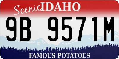 ID license plate 9B9571M