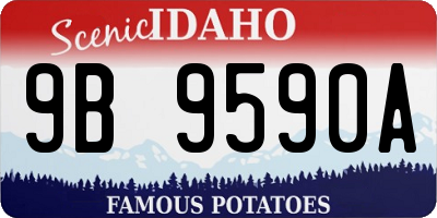 ID license plate 9B9590A