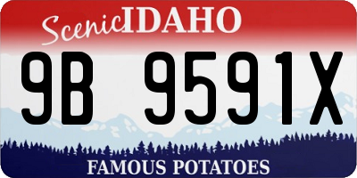 ID license plate 9B9591X