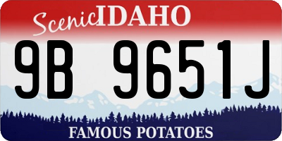 ID license plate 9B9651J